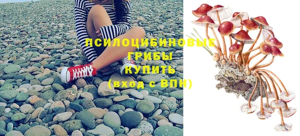 альфа пвп Нефтекумск