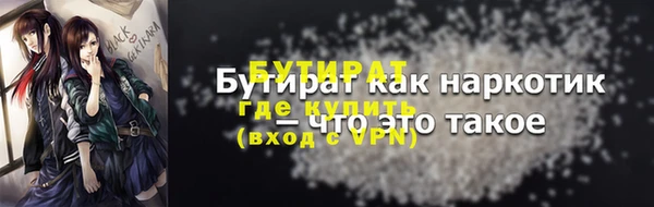 индика Ряжск