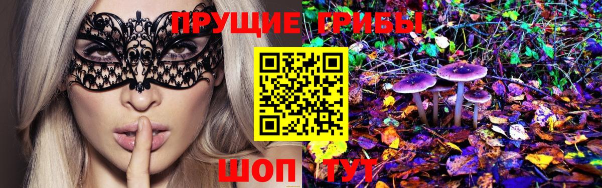 Псилоцибиновые грибы Psilocybe Шумерля