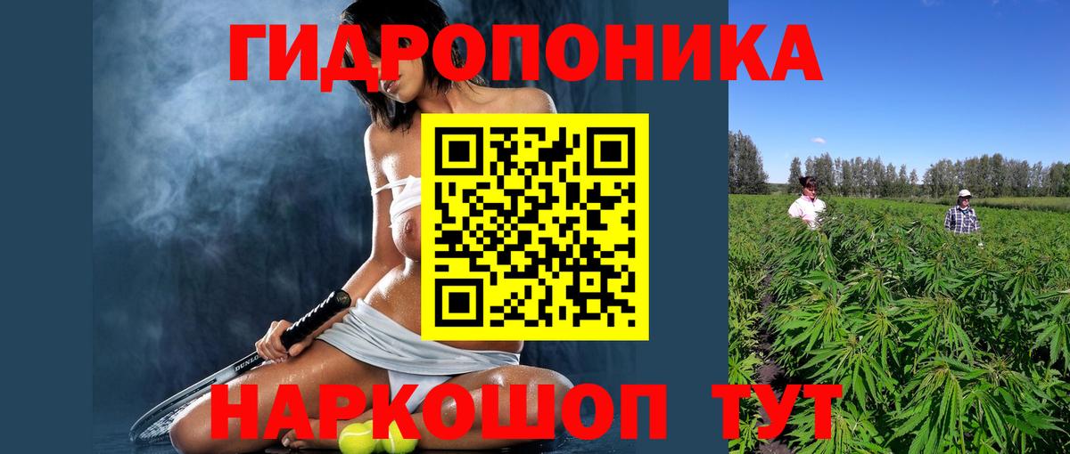 Бошки марихуана VHQ  Канабис THC 21%  Шумерля  Бошки Шишки тримм 